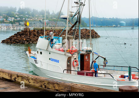 Newport, Oregon, USA - Le 23 août 2016 : Capitaine de bateau de pêche guides son art dans le port de Newport, Oregon. Son deck hand est vu travailler wit Banque D'Images