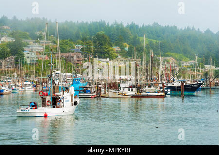 Newport, Oregon, USA - Le 23 août 2016 : Capitaine de bateau de pêche dans son art guides Newports Harbour sur la côte de l'Oregon. Sa compagne est occupé à ranger e Banque D'Images