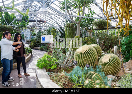 Toronto Canada,Allan Gardens Conservatory,jardin botanique,végétation,homme hommes adultes,visiteur,serre,plantes,vert,botanique,horticulture,ar Banque D'Images