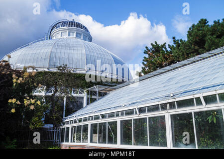 Toronto Canada,Allan Gardens Conservatory,jardin botanique,végétation,serre,plantes,arbustes,botanique,horticulture,coupole,extérieur,avant, Banque D'Images