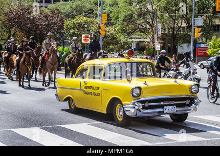 Toronto Canada,University Avenue,police Equestrian Day,police montée,sécurité publique,application de la loi,cheval,animal,parade,équipe de forage,officier,formation,s Banque D'Images