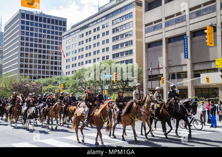 Toronto Canada,University Avenue,police Equestrian Day,police montée,sécurité publique,application de la loi,chevaux de cheval,animal,parade,équipe de forage,officier,formulaire Banque D'Images