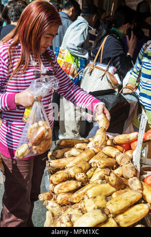 Toronto Canada, Spadina Avenue, quartier de Chinatown, shopping shopper shoppers magasins marché marchés achats vente, magasin de détail Banque D'Images