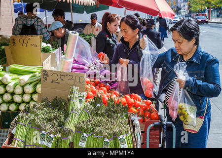 Toronto Canada, Spadina Avenue, quartier de Chinatown, shopping shopper shoppers magasins marché marchés achats vente, magasin de détail Banque D'Images