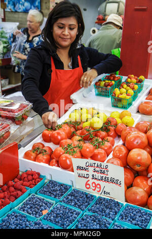 Toronto Canada, St. Lawrence Market,shopping shopper shoppers shopping boutiques achats vendre, magasins commerces d'affaires, marché des agriculteurs, stall stalles bo Banque D'Images