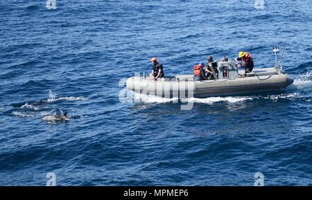 170329-N-FO714-014 OCÉAN PACIFIQUE (Mars 29, 2017) Les marins de la classe Arleigh Burke destroyer lance-missiles USS Kidd (DDG 100) observer un banc de dauphins pendant une visite, un conseil, vous pouvez, et saisie (VBSS) alors que la formation en cours pour une unité de formation composite (exercice COMPTUEX) avec le groupe aéronaval du Nimitz en préparation pour un prochain déploiement. COMPTUEX teste la préparation aux missions de la grève actifs du groupe grâce à une simulation des scénarios du monde réel et leur capacité à fonctionner comme une unité intégrée. (U.S. Photo par marine Spécialiste de la communication de masse 3 Classe Deanna C. Gonzales/ Banque D'Images