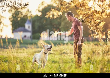 Jeune homme lancer disque volant pour son chien. Temps d'été avec le labrador retriver sur meadow au coucher du soleil. Banque D'Images