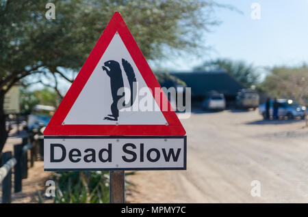 Signe très lente avec meerkat à dusty ville du désert Solitaire Banque D'Images