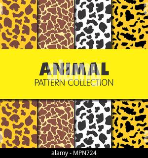 Collection animal courant Banque D'Images