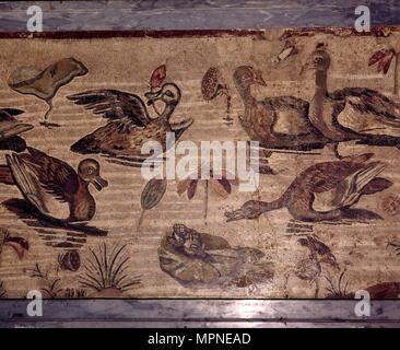 Mosaïque romaine de Pompéi de canards et grenouilles dans un jardin d'eau, 1er siècle. Artiste : Dioscurides de Samos. Banque D'Images