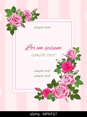 Vector vintage wedding invitations avec des roses rose à rayures sur le fond. Floral design pour carte de souhaits Illustration de Vecteur