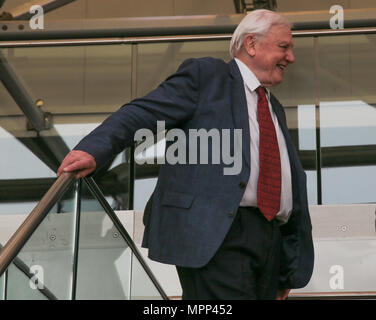 London UK 24 mai 2018 Sir David Attenborough, mieux connu pour écrire et présenter, en collaboration avec la BBC et les programmes de la faune naturelle ,l'ouverture de la Foire du livre de Londres rares ABA 2018 Quezada-Neiman@Paul/Alamy Live News' Banque D'Images