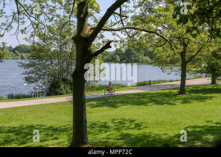 Lurgan, Irlande du Nord. 24 mai 2018. Royaume-uni - un autre très chaude journée ensoleillé à Lurgan. Une femme à vélo sur un sentier du parc à côté du lac de Lurgan Park. Crédit : David Hunter/Alamy Live News. Banque D'Images