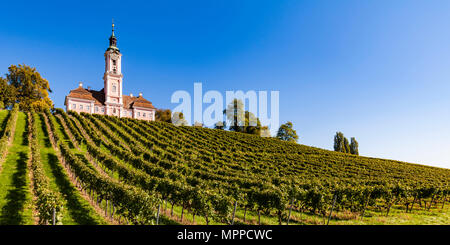 Allemagne, Bade-Wurtemberg, le lac de Constance , Basilique Birnau et vignoble Banque D'Images