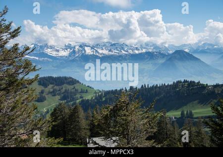 Vue depuis le Mont Rigi du lac de Lucerne, la flore et les montagnes environnantes en Suisse. Banque D'Images