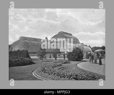 Le Grand Palm House, Kew Gardens, Londres, c1900. Artistes : Decimus Burton, York & Fils. Banque D'Images