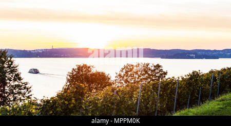 Allemagne, Bade-Wurtemberg, le lac de Constance, le lac Überlingen, Meersburg, vignoble, car-ferry sur le passage entre Meersburg et constance, droite Islan Banque D'Images