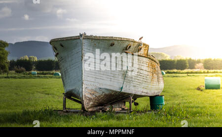 Vieux bateau échoué Banque D'Images
