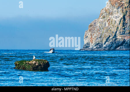 Pacific City, Oregon, USA - 2 juillet 2015 : un bateau dory passe par Haystack Rock comme il fait son approche pour atterrir sur la plage de Cape Kiwanda Banque D'Images