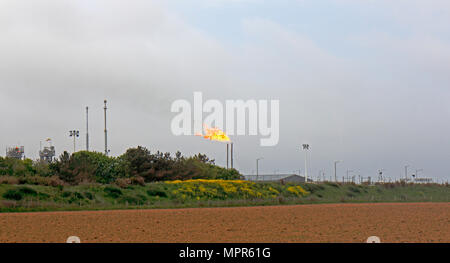 Le gaz naturel étant brûlé dans les cheminées au terminal de gaz naturel de Bacton, Norfolk, Angleterre, Royaume-Uni, Europe. Banque D'Images