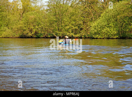 Un canoéiste solitaire sur la rivière Bure sur les Norfolk Broads près de Wroxham, Norfolk, Angleterre, Royaume-Uni, Europe. Banque D'Images
