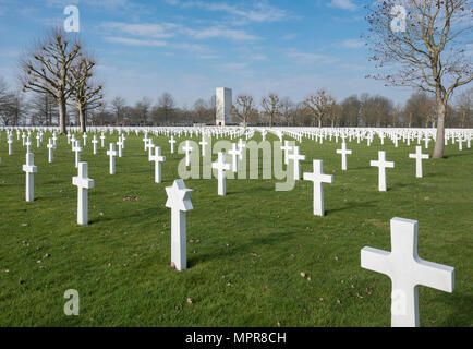 Cimetière avec Croix et étoiles de David, cimetière militaire américain, Seconde Guerre mondiale, Margraten, Limbourg, Pays-Bas Banque D'Images