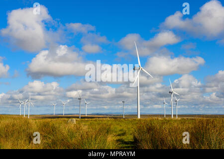 Royaume-uni, Ecosse, Highland, Cuba, Wind Park Banque D'Images