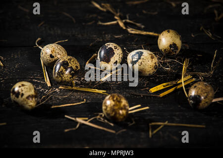 Oeufs de cailles et de paille en bois Banque D'Images