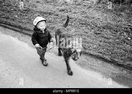 Bébé Garçon 1 ans ( 20 mois) une grande marche labradoodle chien. Medstead, Hampshire, Angleterre, Royaume-Uni. Banque D'Images