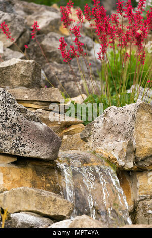 De belles fleurs en face d'une petite cascade dans un jardin de pierres. De belles fleurs en face d'une petite cascade dans un jardin de rocaille. Banque D'Images