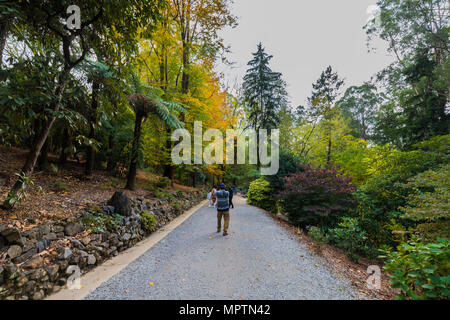 Couleurs d'automne sur le Mont Dandenong Banque D'Images