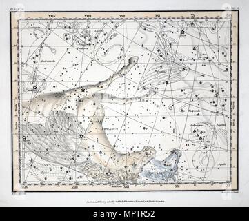 Les constellations (Planche XII), Pegasus et Equuleus, 1822. Banque D'Images