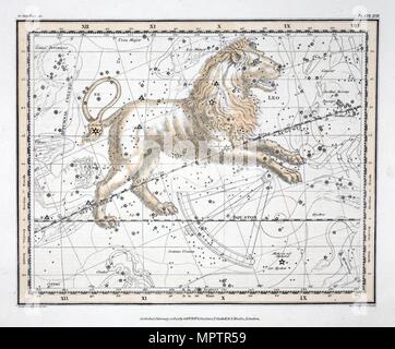 Les constellations (Planche XVII) Leo, 1822. Banque D'Images