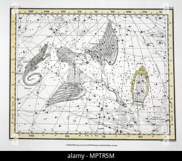 Les constellations (Planche XI) Cygnus, Lacerta et Via Lactea, 1822. Banque D'Images