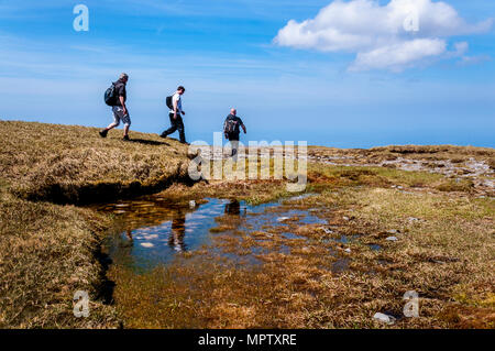 Hill promeneurs sur Sliabh Liag, Slieve League ou une montagne Slieve Liag, sur la côte atlantique du comté de Donegal, Irlande. Banque D'Images