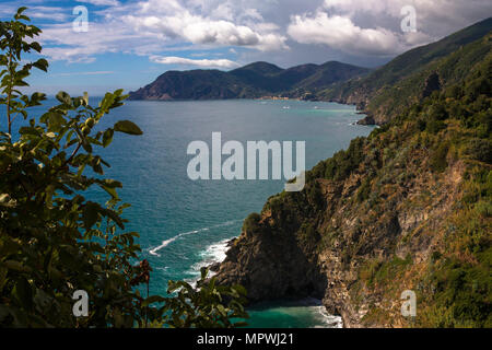 La côte des Cinque Terre en direction nord depuis la Terrazza Santa Maria, Corniglia, ligurie, italie Banque D'Images