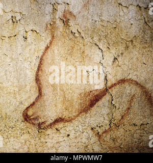 La peinture dans la grotte Chauvet, 32,000-30 000 BC. Banque D'Images