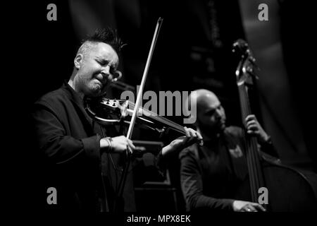 Nigel Kennedy, 2009. Artiste : Alan John Ainsworth. Banque D'Images