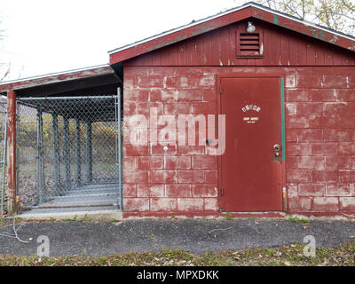 Une petite ville Dog pound est vide pour l'instant. Banque D'Images