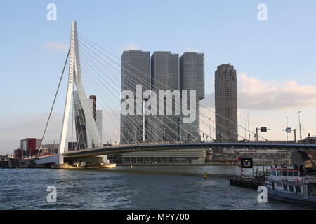 L'Erasmusbrug (Pont Erasmus) à Rotterdam, Pays-Bas Banque D'Images