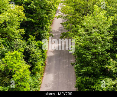 Non vide route asphaltée en forêt dense et arbustes (vue de dessus). Banque D'Images