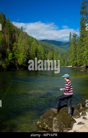 La pêche à la mouche le long sentier de la rivière Selway, Wild and Scenic River Selway Selway-Bitterroot, Désert, Nez Perce National Forest, North Carolina Banque D'Images