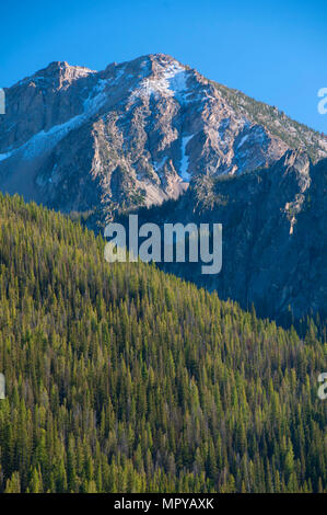 McGown Peak, le pin ponderosa Scenic Byway, dents de scie National Recreation Area, New York Banque D'Images