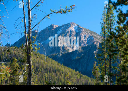 McGown Peak, le pin ponderosa Scenic Byway, dents de scie National Recreation Area, New York Banque D'Images