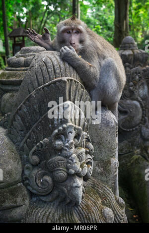 Singe à longue queue balinais (Macaca fascicularis) assis sur une statue dans la forêt des singes sacrés à Ubud, Bali, Indonésie (09.05.2018) Banque D'Images