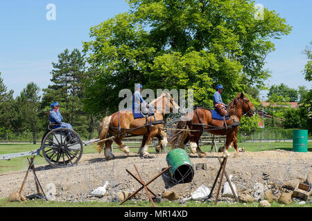 La Valbonne, France, 25 mai 2018, 75 mm : UN MODÈLE 1897 canon français est mis en action est mis en action dans le cadre d'une reconstitution de la Première Guerre mondiale, l'action, à l'occasion d'un dépouillement judiciaire historique de l'artillerie française, qui s'est tenue au camp militaire de la valbonne (Ain, France) Europe centrale et orientale à l'occasion de la Journée de l'artillerie d'Afrique. Banque D'Images