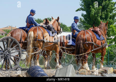 La Valbonne, France, 25 mai 2018, 75 mm : UN MODÈLE 1897 canon français est mis en action est mis en action dans le cadre d'une reconstitution de la Première Guerre mondiale, l'action, à l'occasion d'un dépouillement judiciaire historique de l'artillerie française, qui s'est tenue au camp militaire de la valbonne (Ain, France) Europe centrale et orientale à l'occasion de la Journée de l'artillerie d'Afrique. Banque D'Images