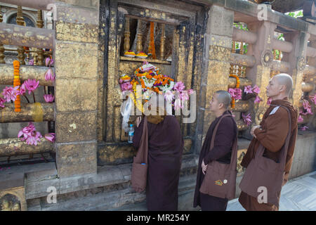 L'Inde, le Bihar, Bodhgaya, des moines bouddhistes prient à l'culte à la base de l'arbre de la Bodhi à du Temple de la Mahabodhi à Bodh. Banque D'Images