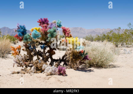 Peint un buisson dans le désert de Mojave. Banque D'Images