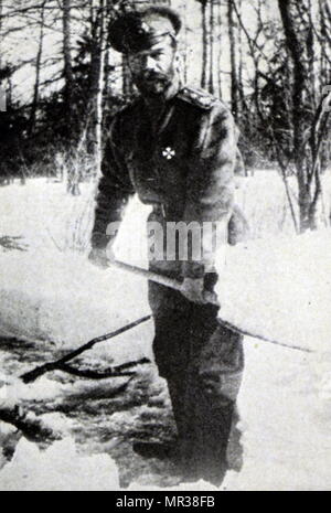 Photographie de Nicolas II de Russie (1868-1918) le dernier empereur de Russie jusqu'à son abdication forcée. Lui et sa famille ont été assassinés par la suite. En date du 19e siècle Banque D'Images